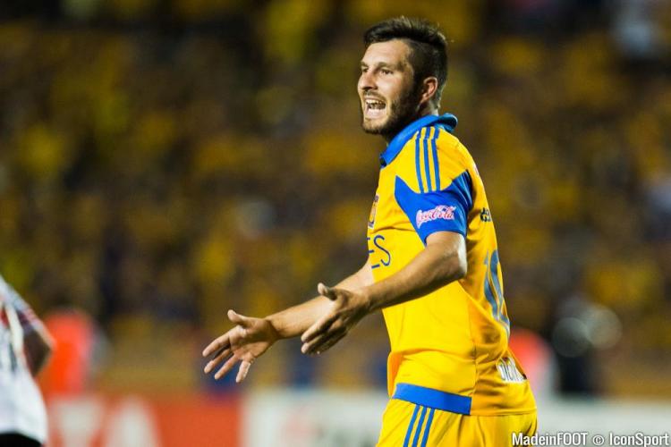 André-Pierre Gignac est attaquant chez les Tigres de Monterrey.