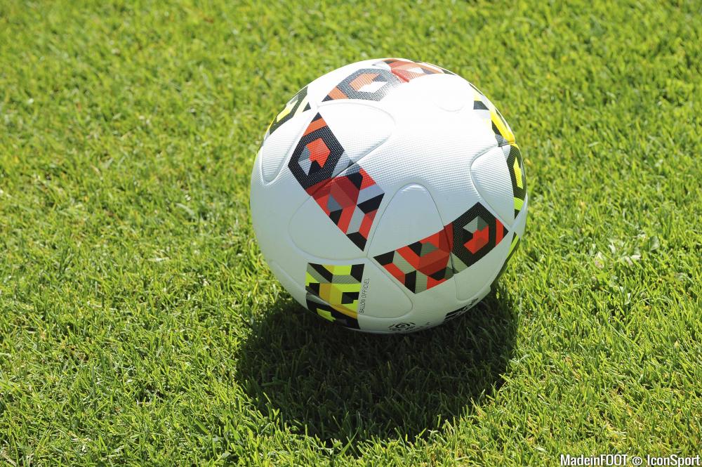 Le ballon utilisé en Ligue 1 sur la première partie de saison va être remplacé.