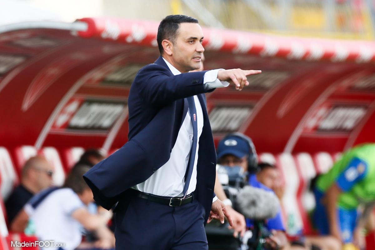 Rafaelle Palladino, coach de Monza.